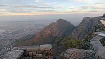 Day Tour to Table Mountain , Cape of Good Hope & Penguin