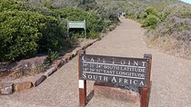 Full day Tour Cape Point and Good Hope with Penguins