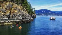 Morning Kayak & Seal Cruise in Vancouver
