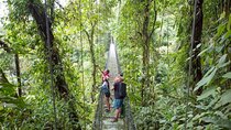 Mistico Natural History Walk(Hanging Bridges)