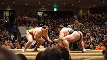 Seat B Ticket Tokyo Sumo Wrestling Tournament in Ryogoku