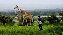 Lake Naivasha Boat ride and Crescent island walk from Nairobi