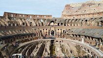 Private Rome Tour: into Colosseum, Roman Forum and Palatine Hill