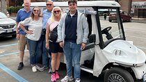 Golf Cart VIP tour of Rome with Driver and Tour Guide (3 or 5hrs)