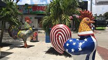 Little Havana French Gourmet Guided Tour