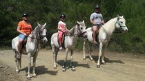 Horse Riding in Antalya,Belek,Lara Beach(Sunrise,Sunset,Day Time)