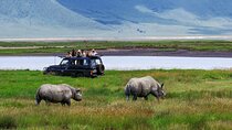 5-Days Private Luxury Safari: Tarangire, Serengeti & Ngorongoro