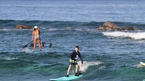  Premium group surf lessons- Kona’s Best Surf Lessons