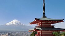 Private Car tour to Mt. Fuji/Hakone with English Driver/Guide