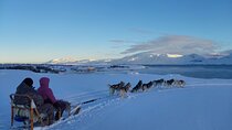 Private Dog Sledding in Akureyri