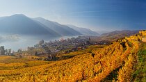 Danube Valley Delights - Private Full-Day Adventure from Vienna