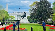 Washington, D.C. Private 4-Hour Day Tour 