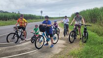 Mossman Highlights eBike Tour