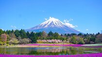 Private Unforgettable Mt Fuji Tour with English Speaking Driver