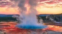 Small Group Yellowstone&Grand Teton 4-Day Tour w/2 Night Cabins
