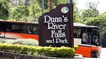 Kingston City Dunn's River Tours