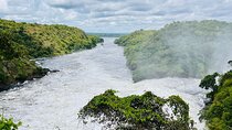 3 Days Murchison Falls National Park Safari & Rhino tracking