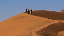 Canyons, Dunes & Wildlife of Namibia, Departing Tuesdays