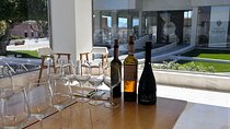 Wine Tasting Experience for Small Groups from Palermo