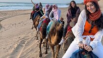 Tangier Full-Day: Medina Secrets, Spartel, Caves, Camels & Meals