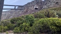 Table Mountain Kirstenbosch Gardens and Wine Tasting Tour