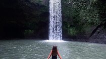 Ubud Waterfalls, Temple and Rice Terrace - Private Tour 
