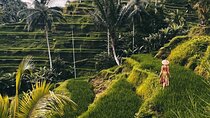 Ubud Monkey Forest, Rice Terrace & Tirta Empul Temple Tour 