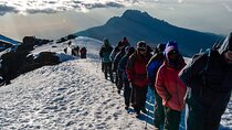 8 Days Mount Kilimanjaro Climbing Lemosho Route
