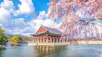 Seoul’s Full-Day Royal and Cultural Private Tour