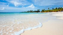 Saona Island Full-Day Tour from Punta Cana Bayahibe All Inclusive