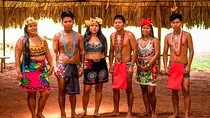 Private 6 hour Tour to Embera Community and Chagres Panama Native