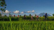 Bali Eco & Educational Cycling Tour