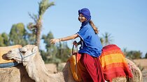 Camel ride in Agadir with hotel pick up and drop off