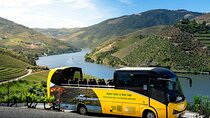 Douro Valley and Wine Day Trip from Porto