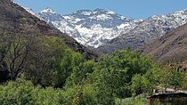 Day Trip to Atlas Mountains from Marrakech