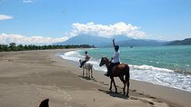 Fethiye Horse Riding Experience