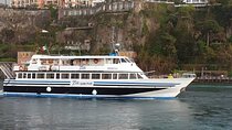 Blue Capri Cruise from Sorrento Castellammare or Seiano