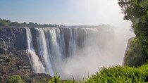 Chobe Full Day & Livingstone Zambia Zimbabwe Falls Tour Combo 