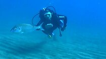 Scuba Diving with Expert Instructor