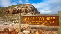 Full day Cape of Good Hope and Boulders Penguins Tour