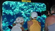 Semi-Submarine Tour & Snorkeling experience : Hurghada