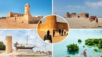 Private Tour in Northern Qatar 