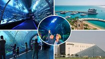 Private Hamad Port Tour in Mesaieed |Aquarium |Maritime Museum