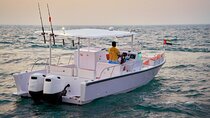 Private Charter in Dubai up to 10 Guests