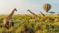6 Days Tanzania Bush Experience Safari