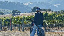 Albatross Ridge Vineyards Electric Bike Tour & Wine Tasting
