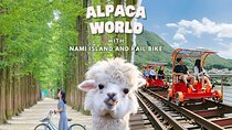 Alpaca World and Nami Island with Gangchon Rail Bike Tour
