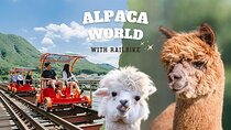 Alpaca World with Gangchon Rail Park One Day Tour