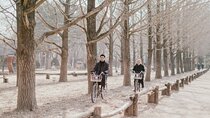 Nami Island & Garden of Morning Calm & Gangchon Railbike Tour