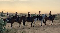 1 Hour Shared Desert Horse Riding Experience